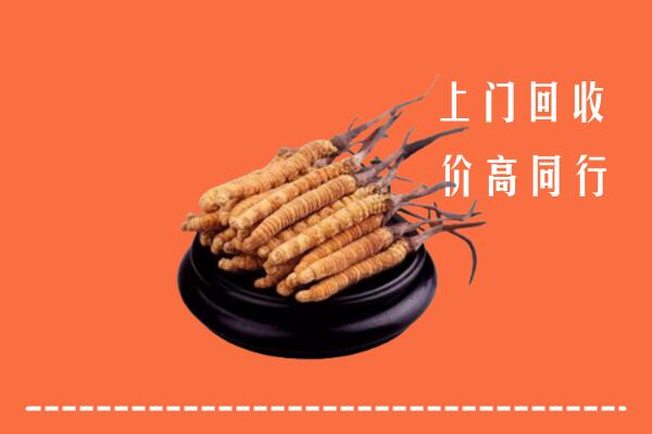 高价求购：霍州市回收散虫草