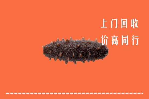 霍州市回收海参