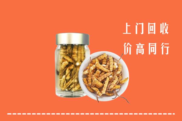 霍州市回收冬虫夏草